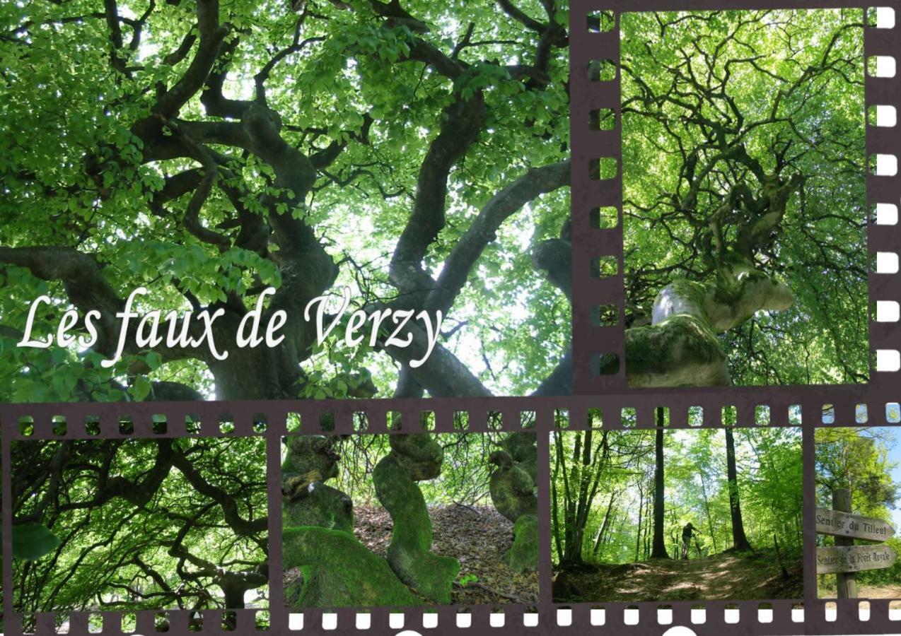 Bedinreims "Burgundy Bottle" 110M2 Exceptional, 4 Chambres Doubles, 2 Bain, Free Park & Wifi, Tout Equipe Exteriér fotografie